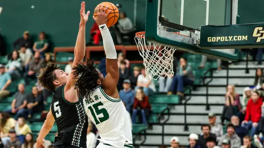 Price Dunk UH (Main)