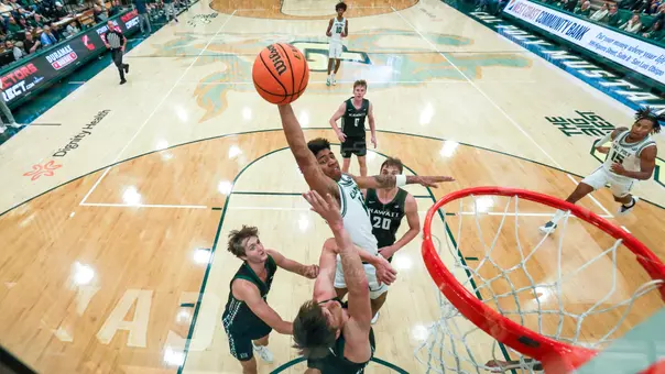 Ward Dunk Backboard (Main)