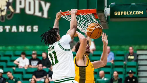 Goode Dunk Long Beach State (Galvan)