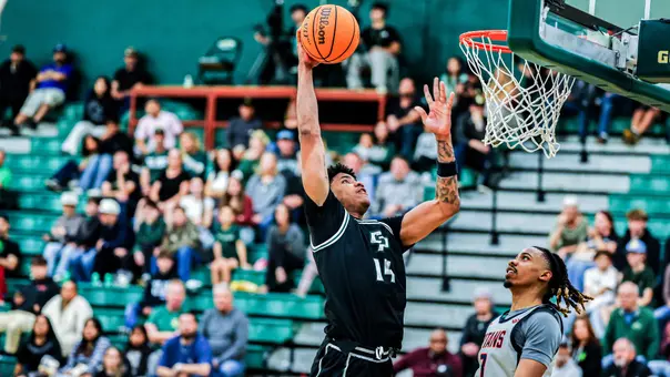 Ward Dunk2 CSF (Main)