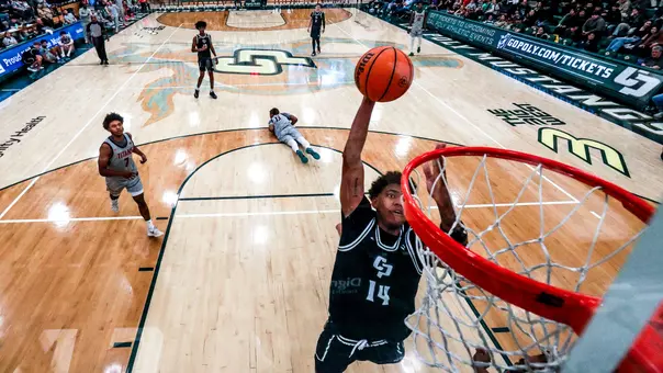 Ward Dunk CSF (Main)