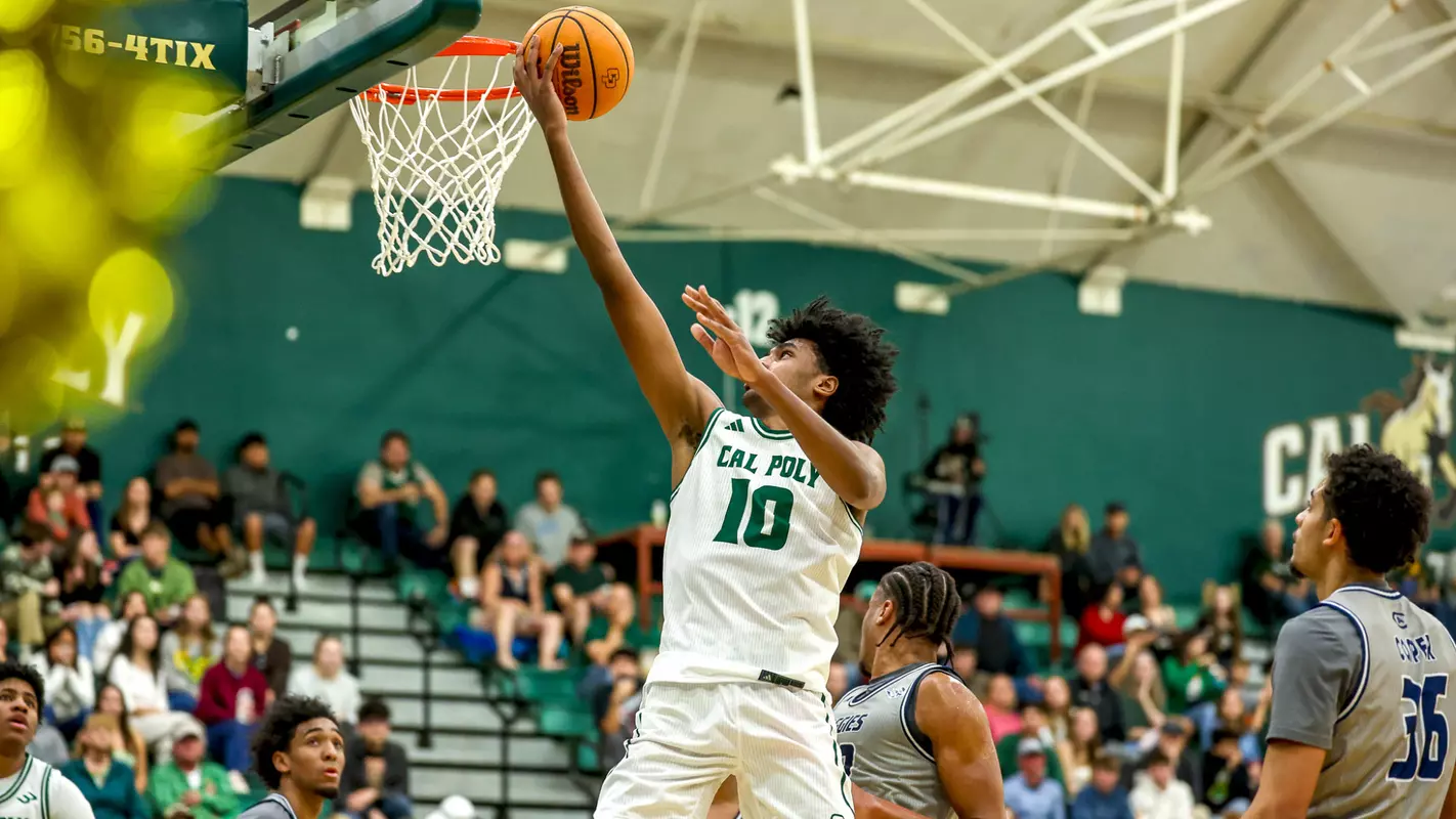 Mousa Layup UCD (Main)