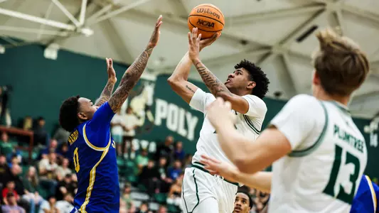 Ward Jumper CSUN (Main)