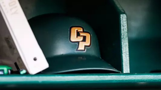 Larry Helmet Baseball (2026)