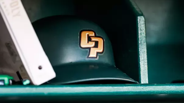 Larry Helmet Baseball (2026)