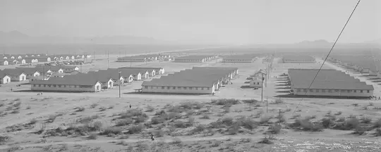 Gila River Camp.jpg