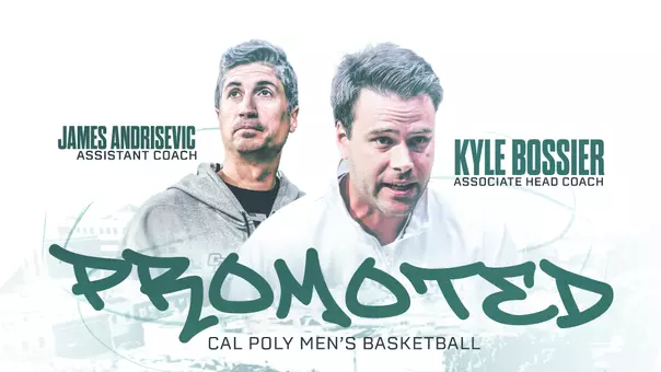 Bossier-Andrisevic Promotions Graphic