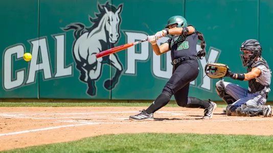 Allen Single LBSU