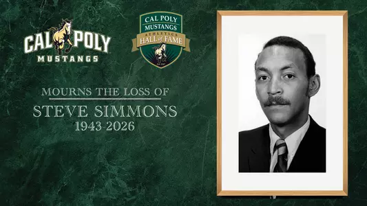 Steve Simmons, Web Graphic