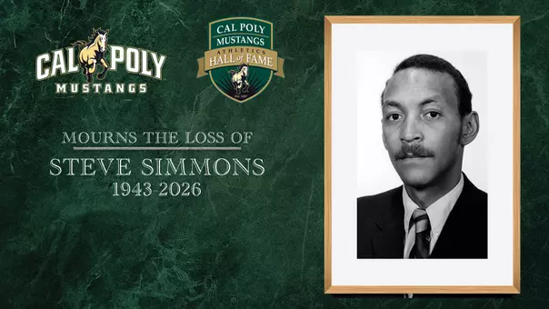 Steve Simmons, Web Graphic
