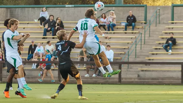 Firouznam Header Stanford (Briote-Johnson)
