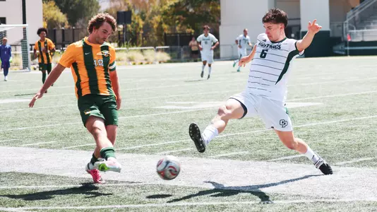 Pearce USF Exhibition (Ko)