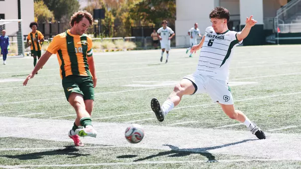 Pearce USF Exhibition (Ko)