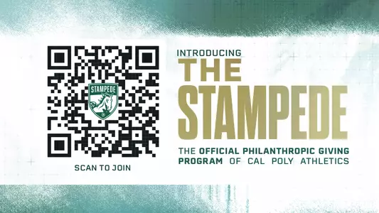 The Stampede Web Graphic