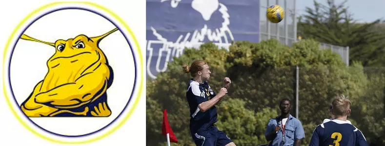 #7 Tigers Defeat Banana Slugs Image