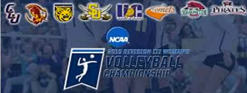 Bears Sweep Banana Slugs in First Round Image