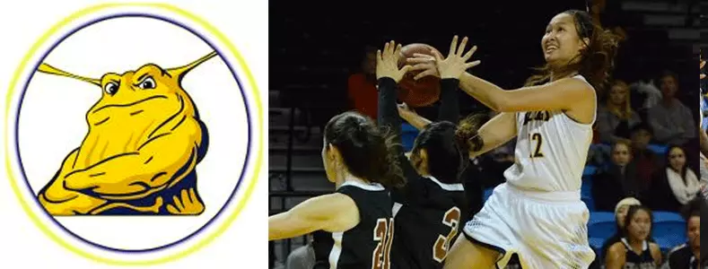 Lutes Top Banana Slugs Image