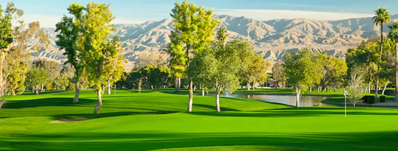 UC Santa Cruz Finishes Fifth at CMS Invitational Image