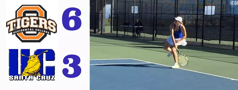 Tigers Top Banana Slugs Image