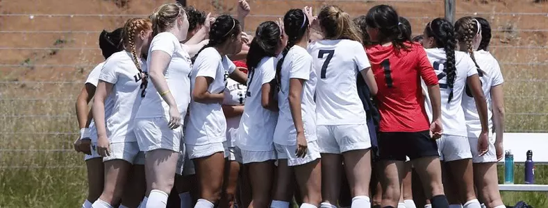 Lim Lifts Banana Slugs Over Vikings Image