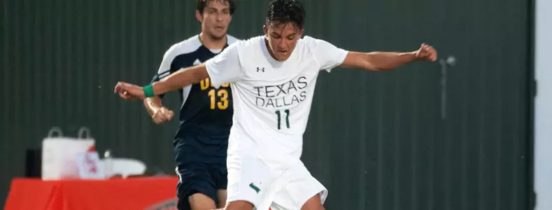 Comets Streak By Banana Slugs Image