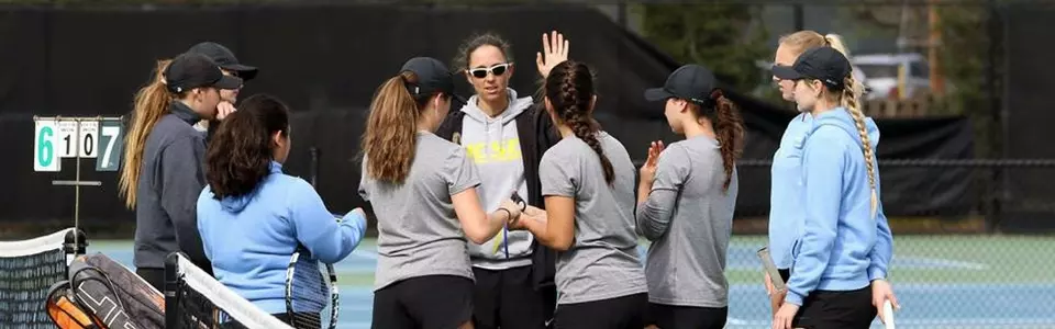 Penguins Freeze Banana Slugs Image