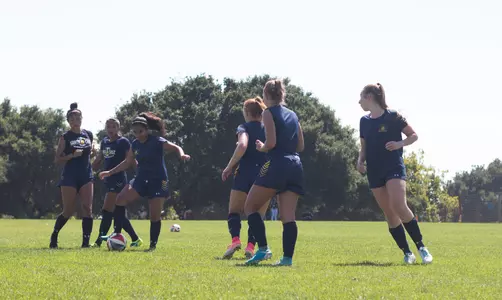 Banana Slugs Take Wind Out of Cyclones Image