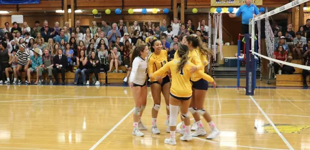 Women's volleyball sweeps Brooklyn College Image