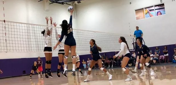 Banana Slugs Fall Twice on Day One of Leopard Invitational Image