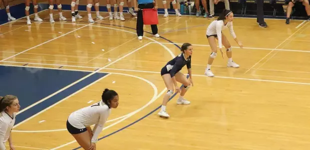 Women's volleyball frustrate Panthers but fall short of victory Image