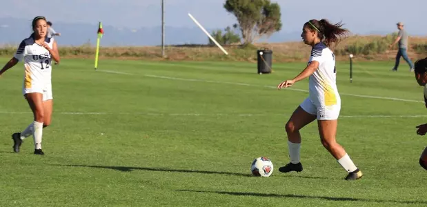 Makarem goal gives UCSC win on Senior Day Image