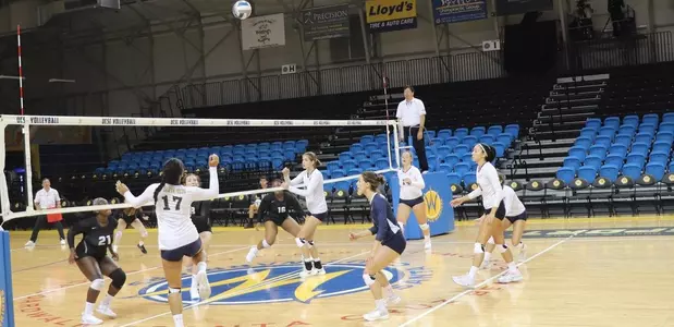 Women's volleyball closes Leopard Invitational with two tough losses Image