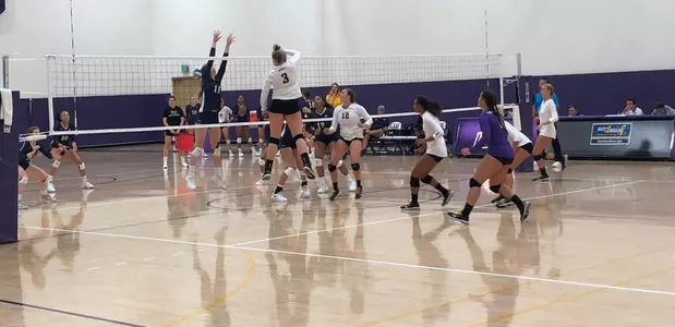 Banana Slugs Lose Two on Day One of Cal-Lu-Fornia Invitational Image