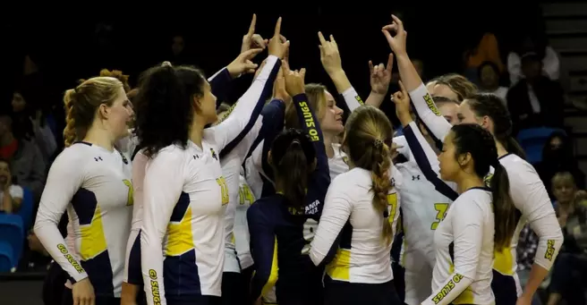 Women's Volleyball Year by Year records