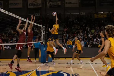 Volleyball hosting Stanford