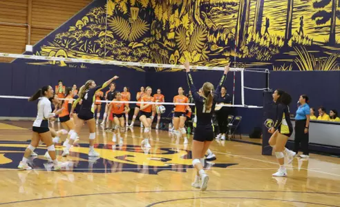 Volleyball celebrates a point