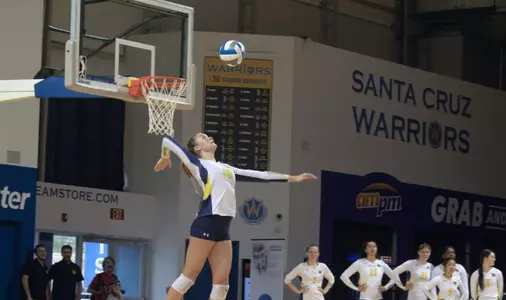 Tazelaar jump serve