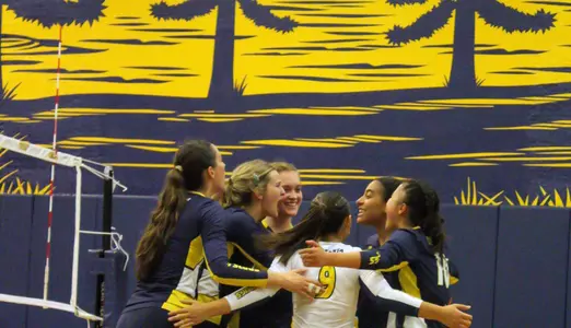 Women's Voleyball celebrates a point
