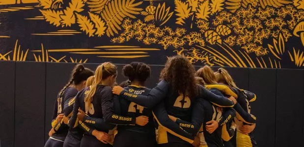Volleyball huddle
