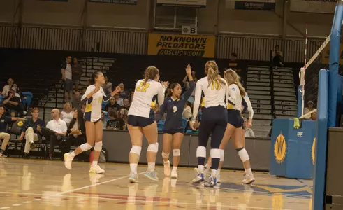 Women's Volleyball celebrates point