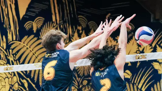 Ownbey with the block