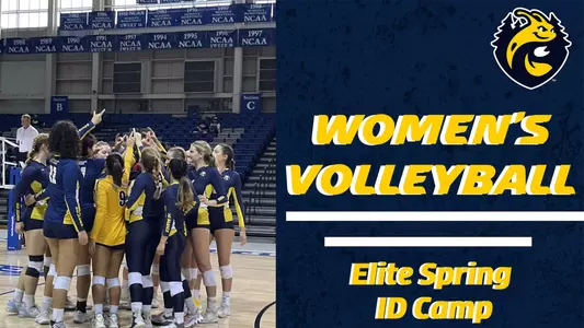 Volleyball Elite ID camp