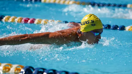 mswim112425