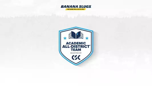 academic all district csc swim