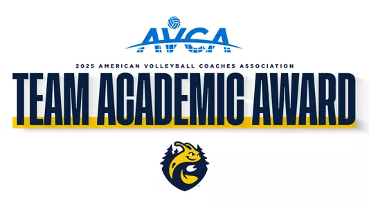avca mens vb academic award