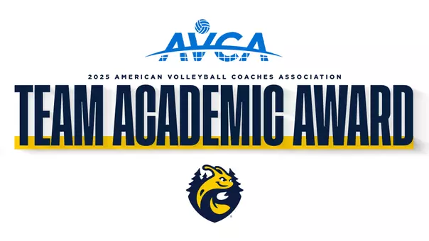 avca mens vb academic award