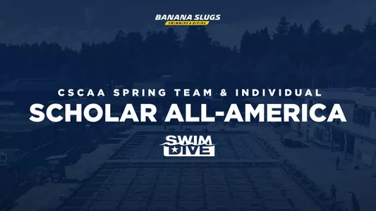 cscaa scholar all america