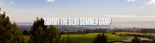 sammy the slug summer camp