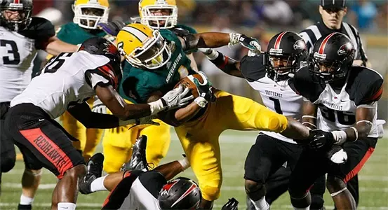 Southeastern Louisiana Banner