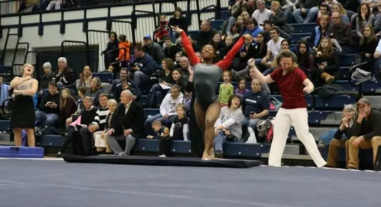 ChelsiHamiltonBanner